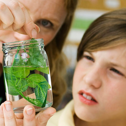 staerke-fagteams-giver-modigere-laerere