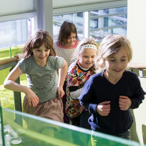 Børn i bevægelse på trappe