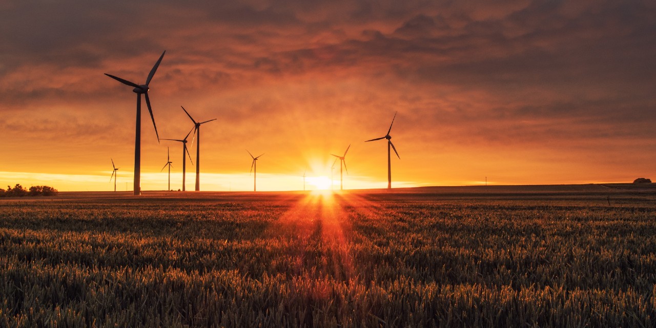 solnedgang med vindmøller