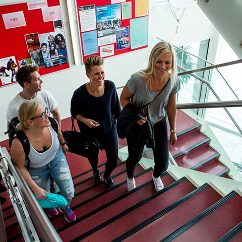 VIA i Randers har optaget flere studerende end nogensinde  - Studerende i gruppe på trappe