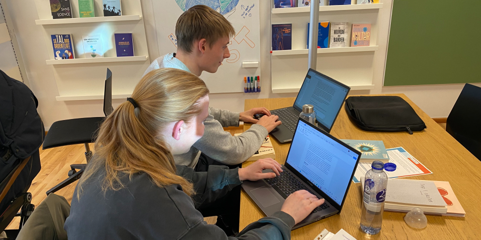 To studerende sidder med deres computere