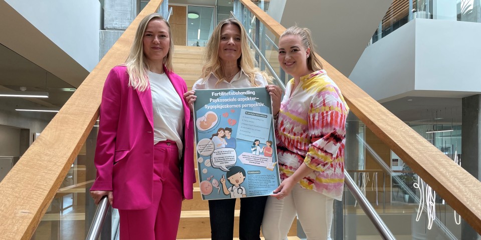 Sandie, Pernille og Lena - fertilitetsbehandlingsprojekt