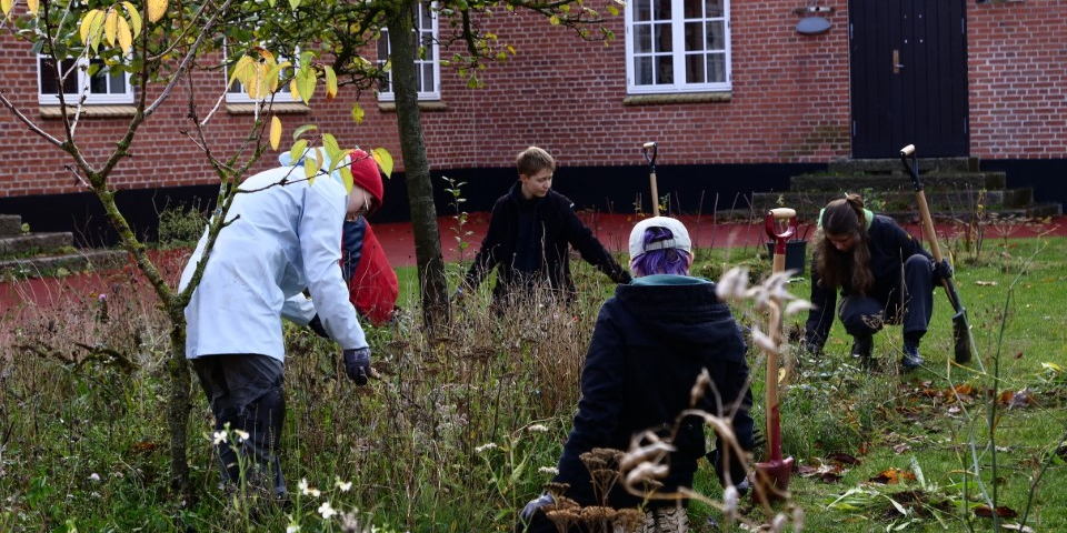 Urtehaven ved The Animation Workshop