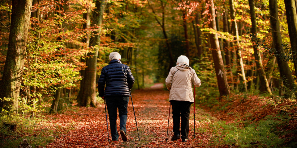 To mennesker der går i en efterårsskov