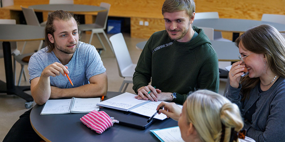 Studerende på VIAs campus i gruppearbejde