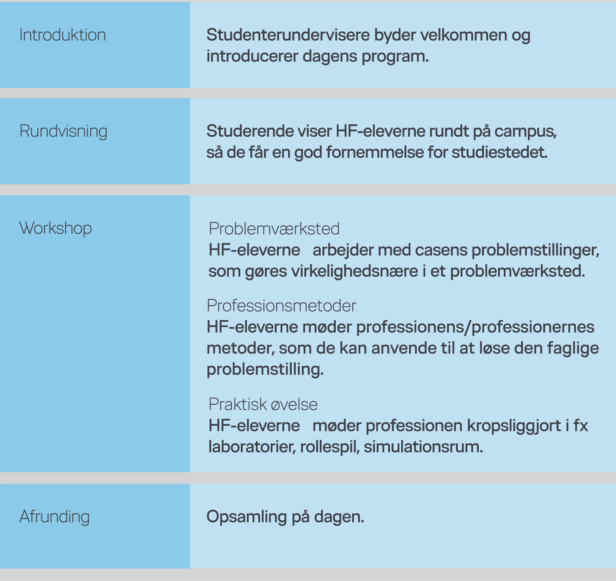 Tabel med emnerne: Introduktion, rundvisning, workshop og afrunding.