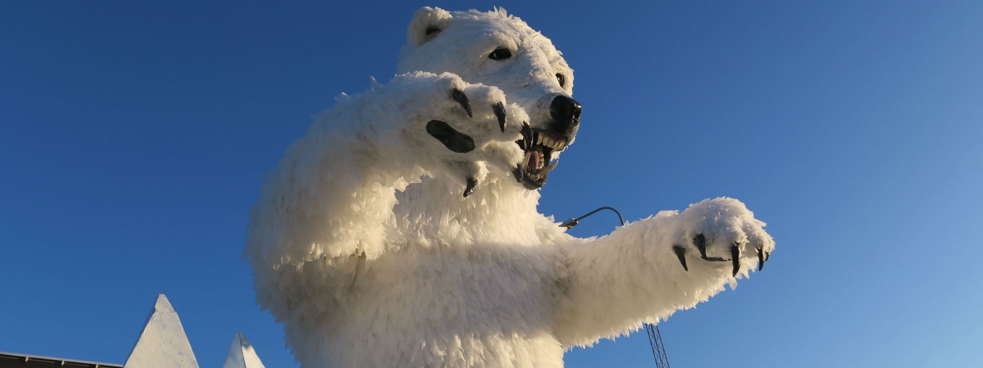 Isbjørn ved blå himmel