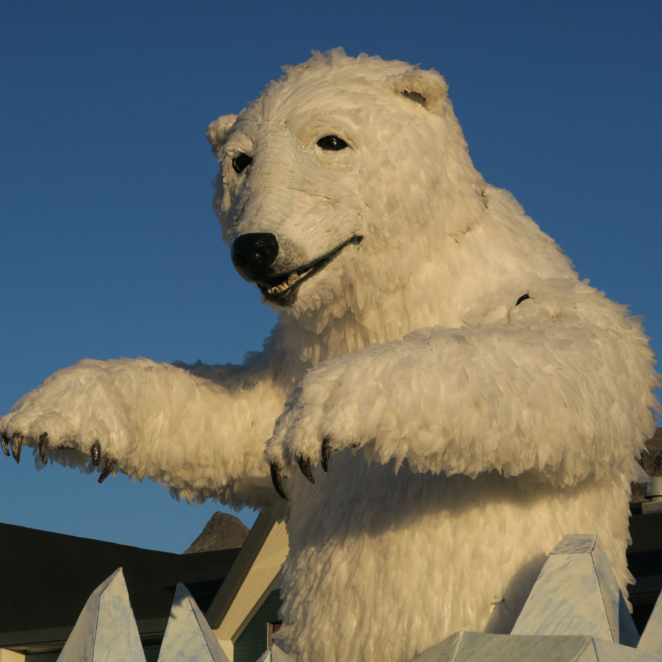Billede fra projektet Isbjørnens styrke