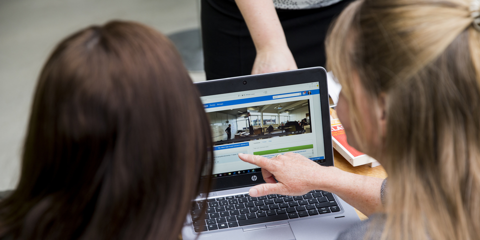 En mindre gruppe personer / kollegaer ved bord samarbejder om computer / laptop med fagligt indhold.