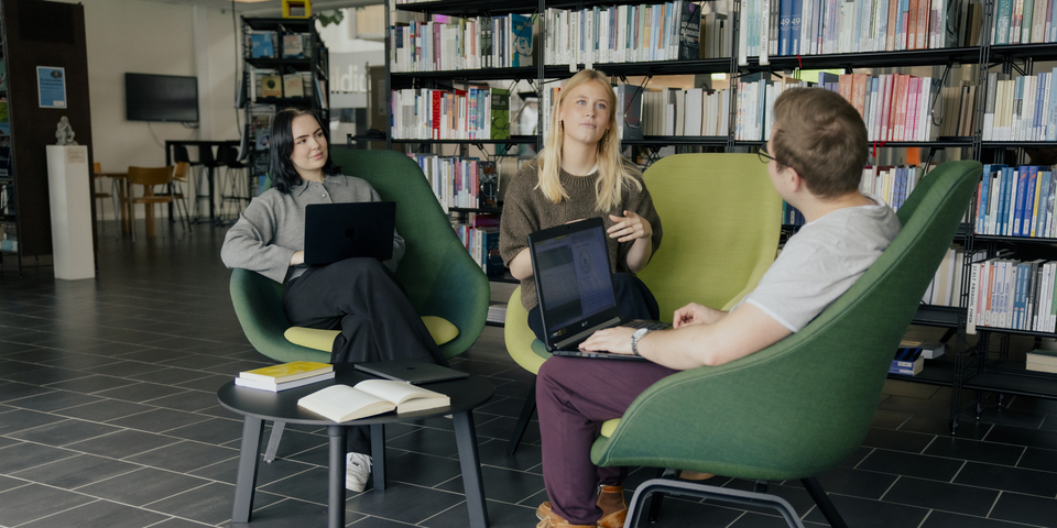 Socialrådgiverstuderende laver gruppearbejde på biblioteket på campus Holstebro. En kvindelig studerende fortæller. Computer, bærbar, brun sweater, grønne stole, bogreoler, papir, bøger, notesbøger, bog, bord. 