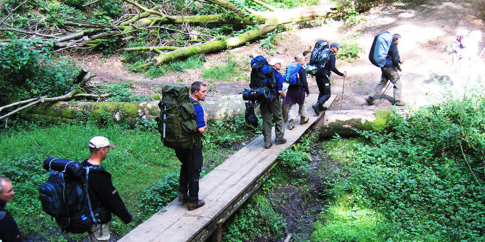 Friluftsvejlederstuderende på tur. De går med oppakning i en skov.