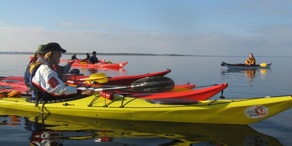 Friluftsvejlederstuderende sejler i kajakker. 
