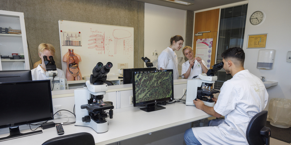 Studerende på VIA Bioanalytikeruddannelsen laver analyser i laboratoriet. 