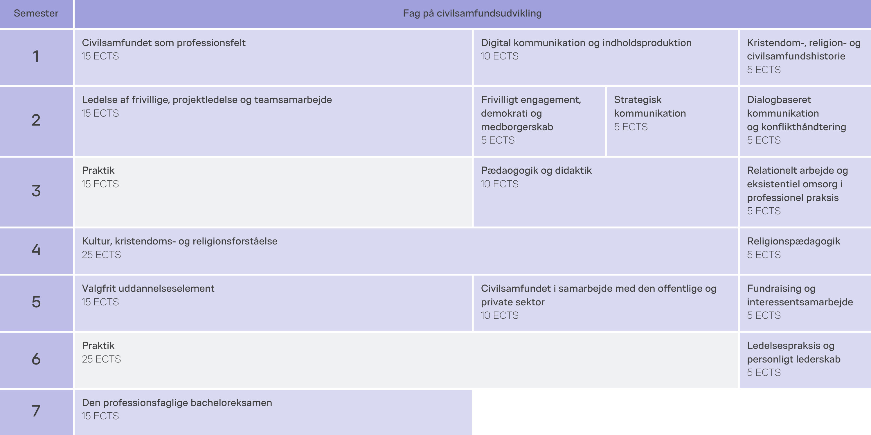 Oversigt over semestre, fag og praktik på uddannelsen.
