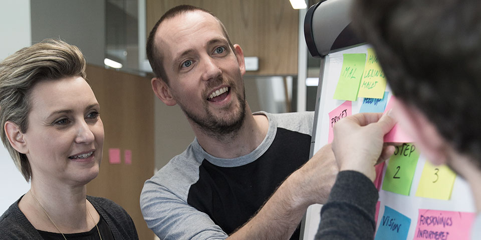 Diplom i procesledelse